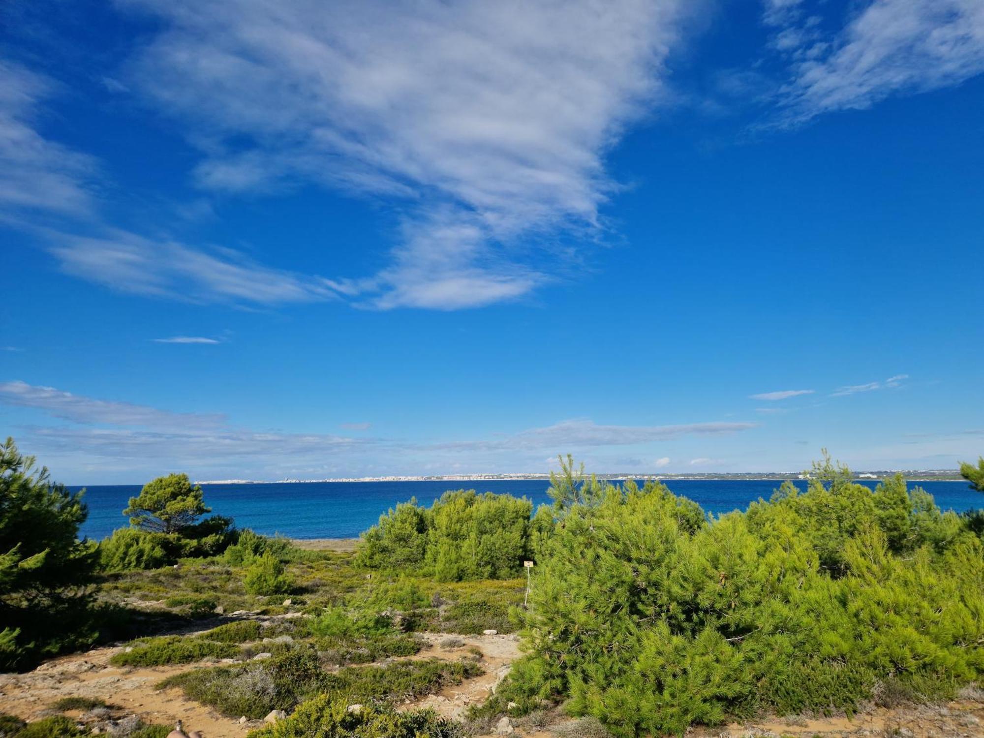 Villa Maria In Puglia Con Pineta Vicino Al Mare Torre Suda Exterior foto